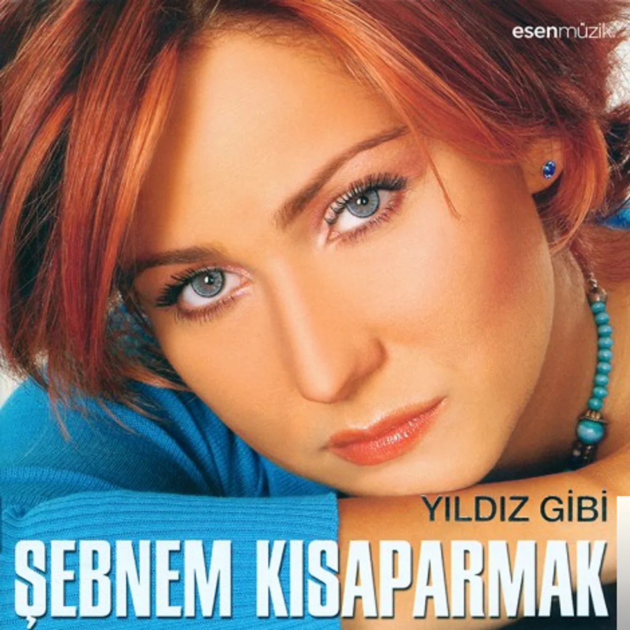 Şebnem Kısaparmak - İkimiz Bir Fidanın