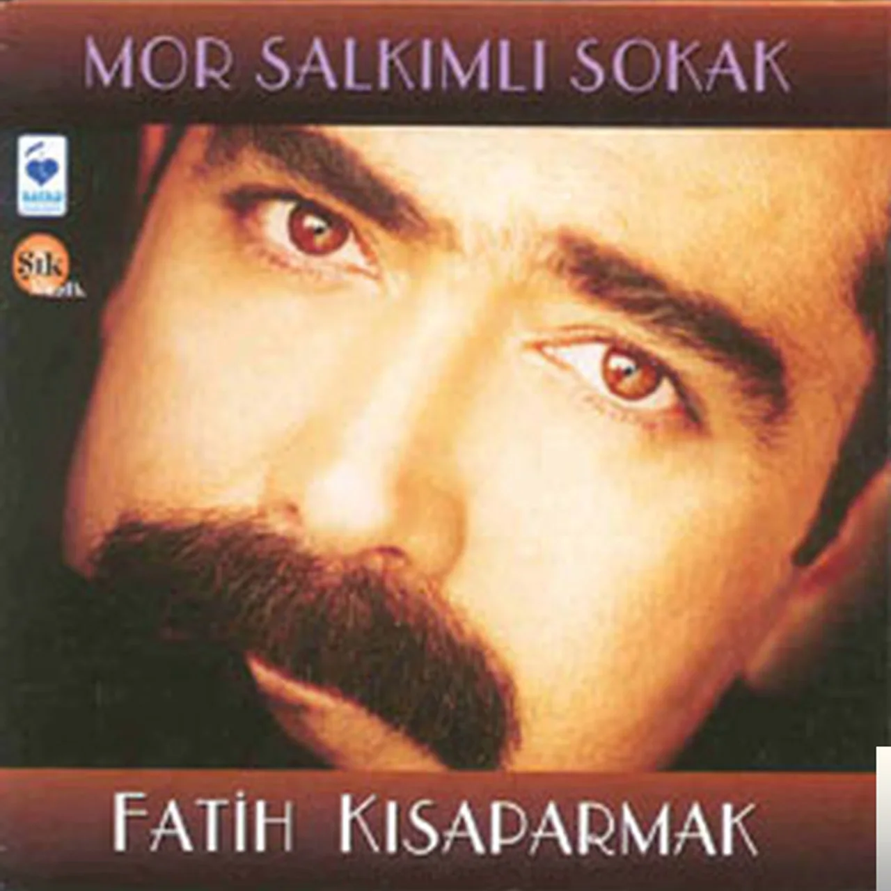 Fatih Kısaparmak - Mor Salkımlı Sokak