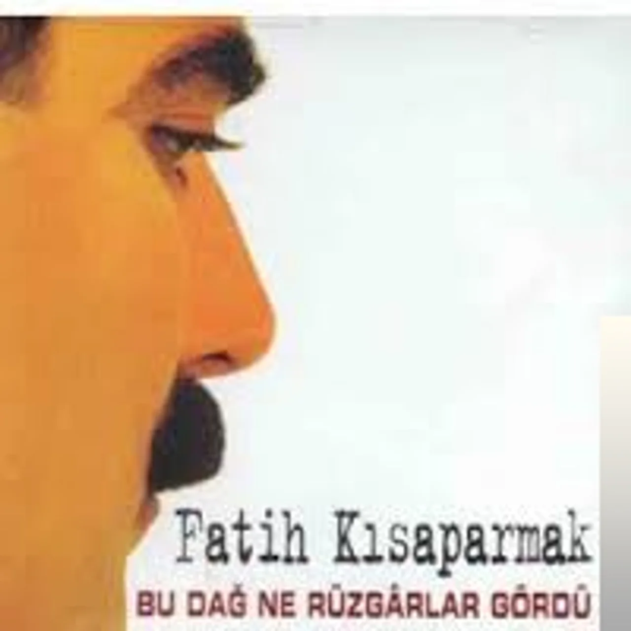 Fatih Kısaparmak - Zor Geliyor
