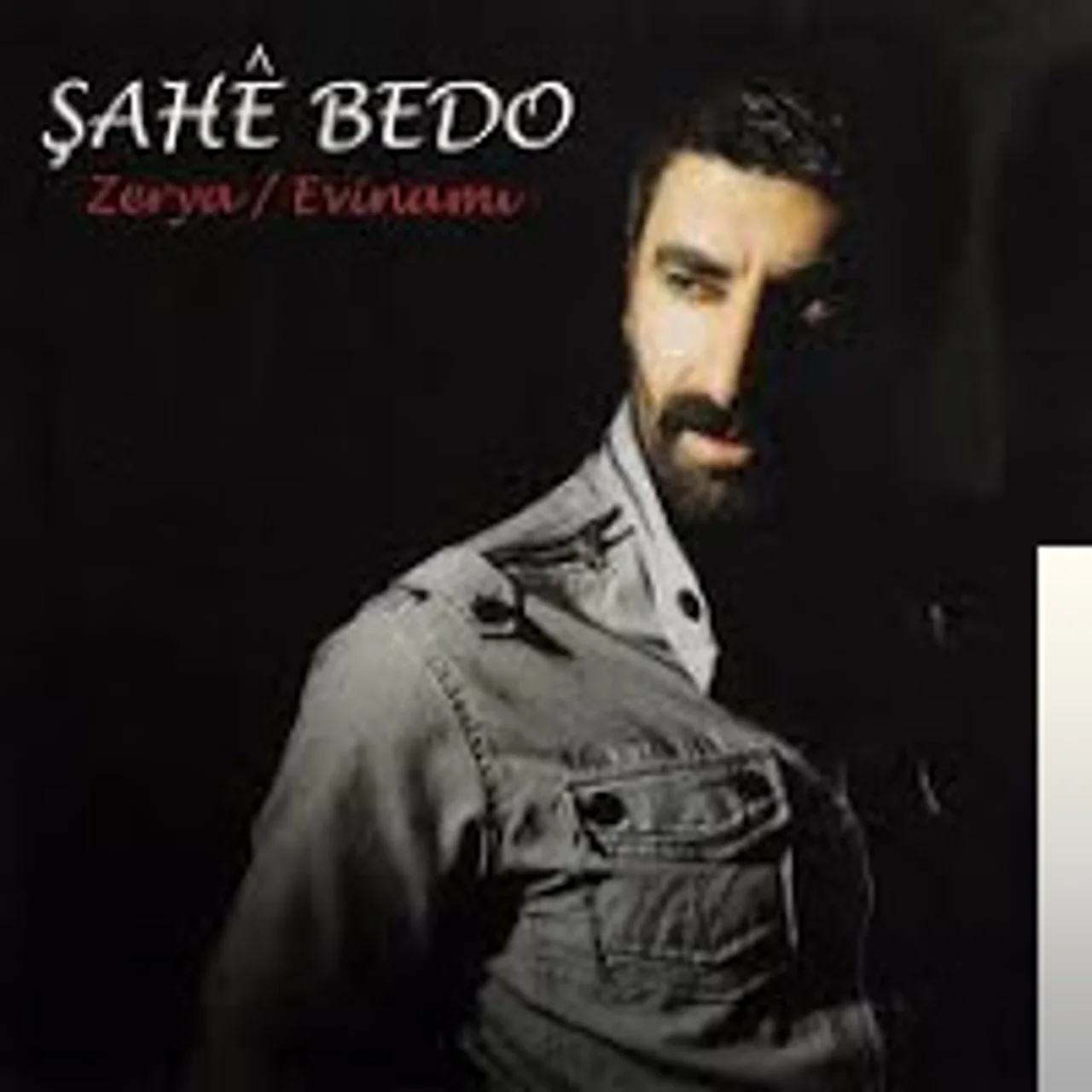 Şahe Bedo - Leyla