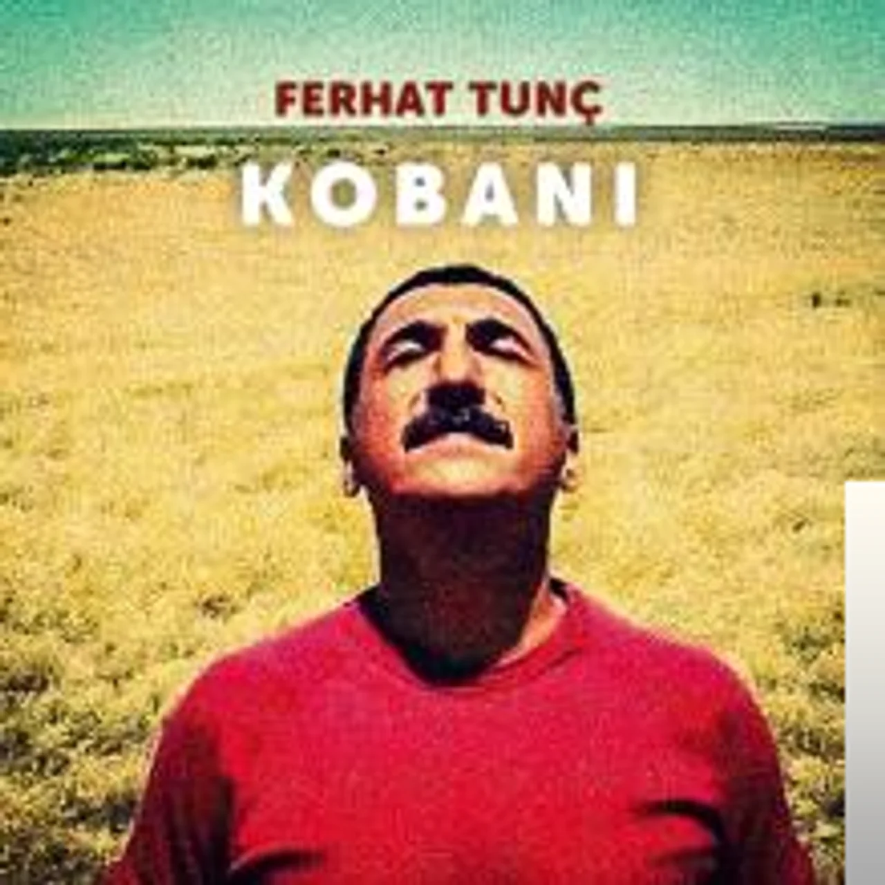 Ferhat Tunç - Vuruldular