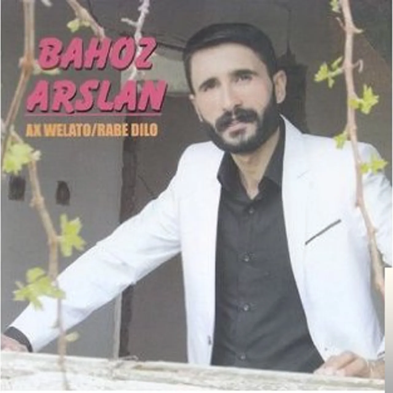 Bahoz Arslan - Here Yare