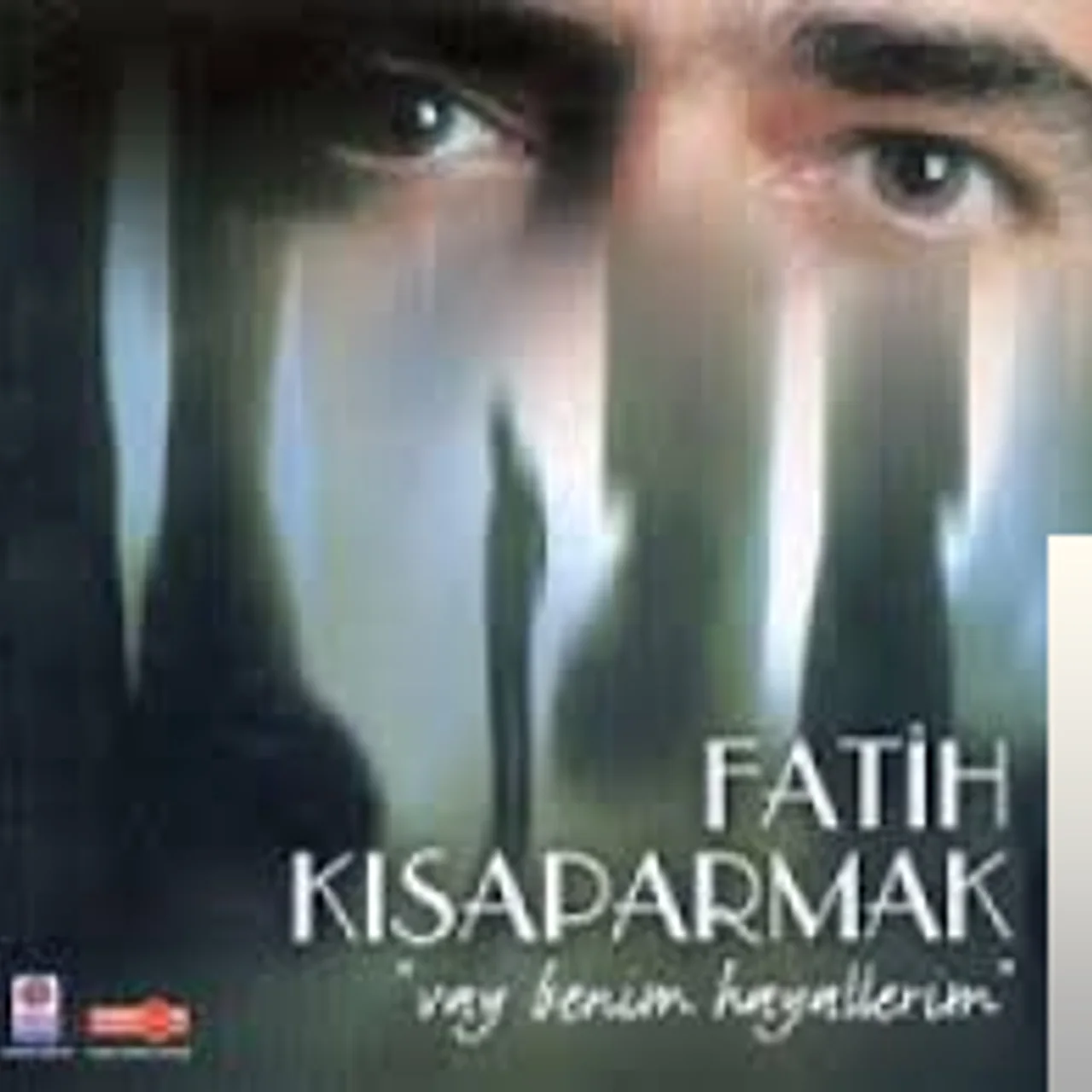 Fatih Kısaparmak - Ağaçlar Ayakta Ölür