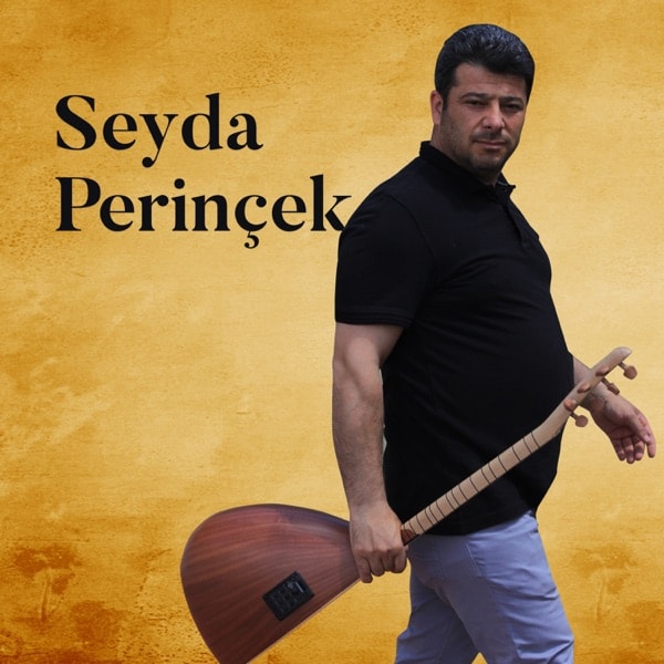 Seyda Perinçek - Dirok