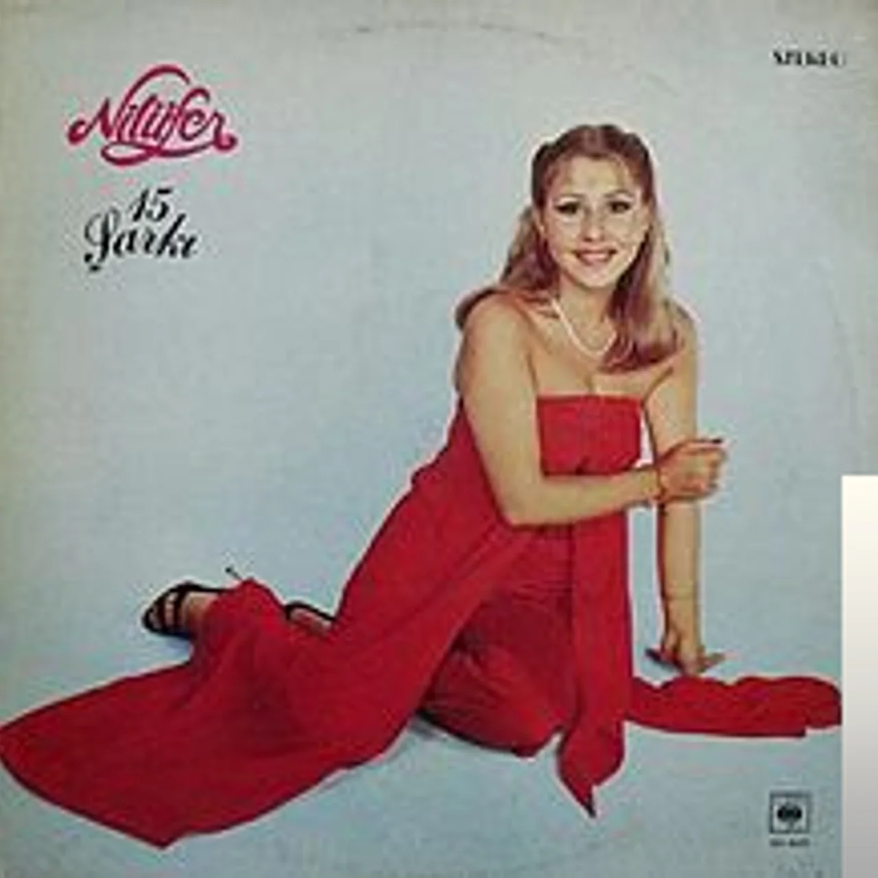 Nilüfer - Neden