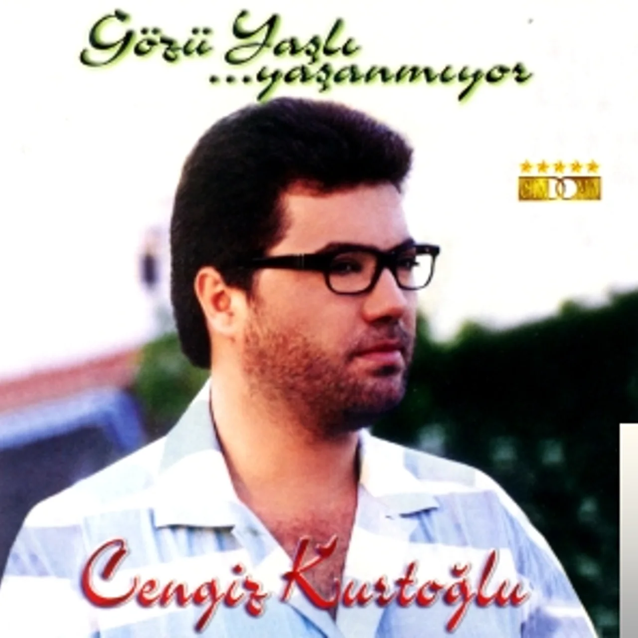 Cengiz Kurtoğlu - Seni Seveli