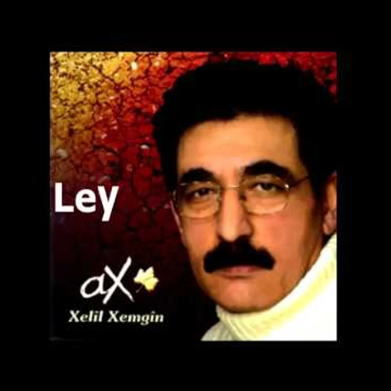 Xelil Xemgin - Dunya
