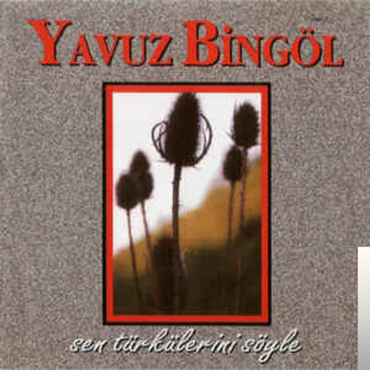 Yavuz Bingöl - Dam Üstüne Çul Serer