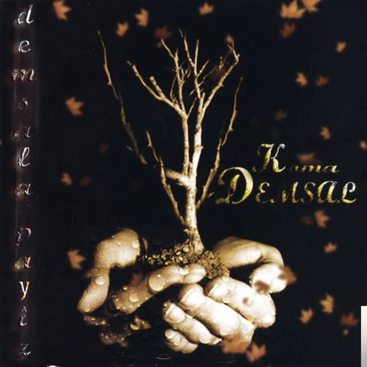 Koma Demsal - Bare Evin