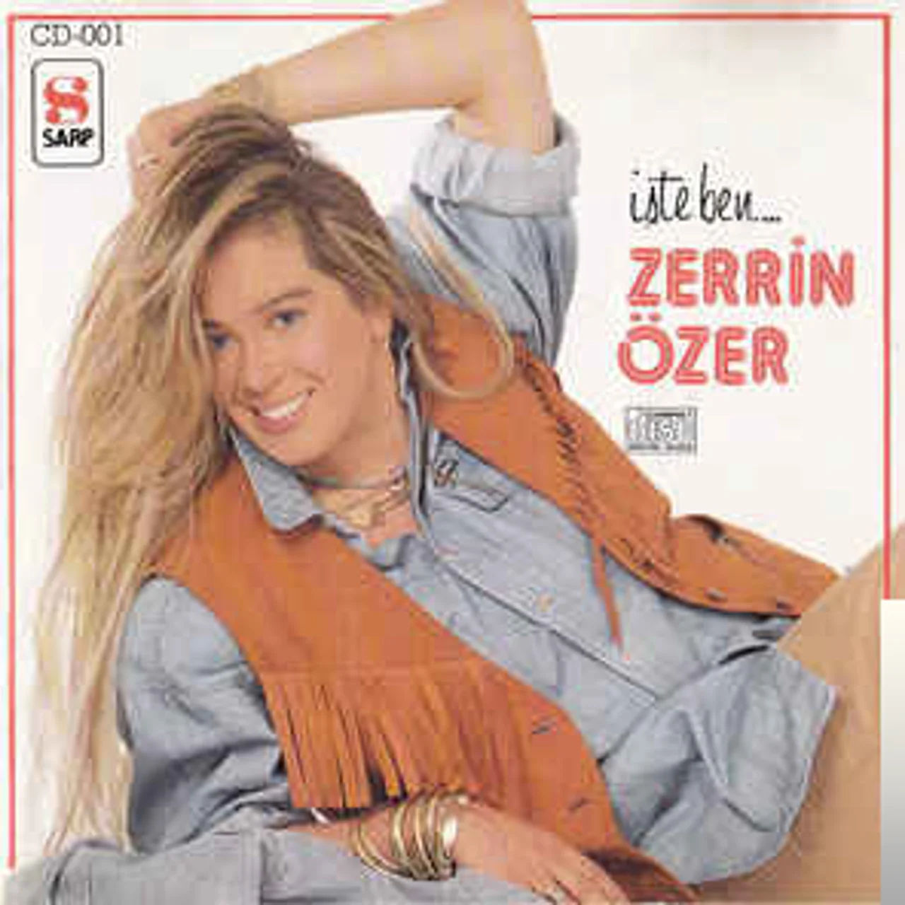 Zerrin Özer - Var Mı Sende O Yürek