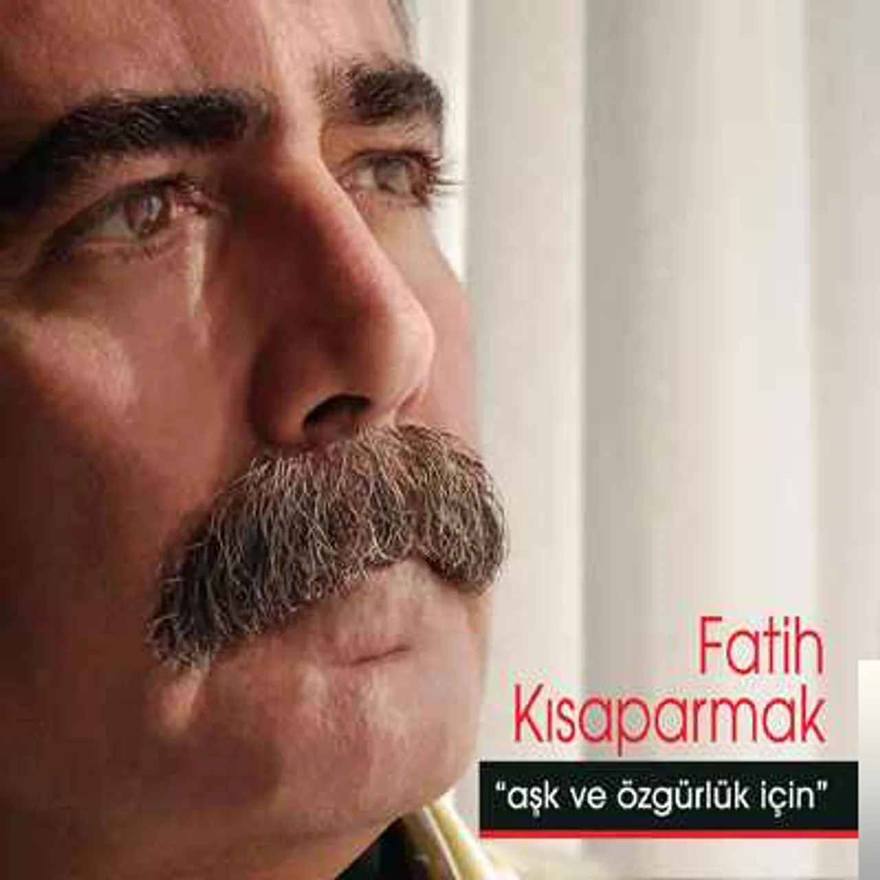 Fatih Kısaparmak - Zeynep (Şiir)