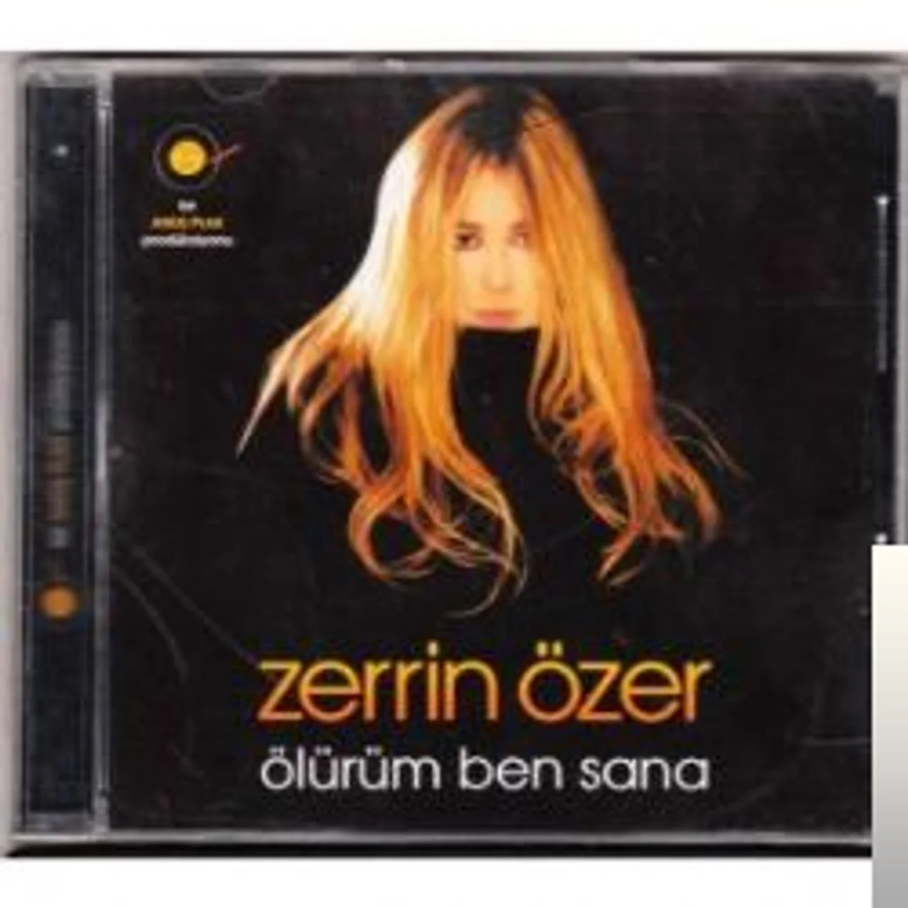 Zerrin Özer - Dur