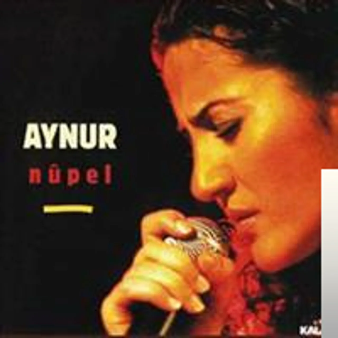 Aynur Doğan - Sire