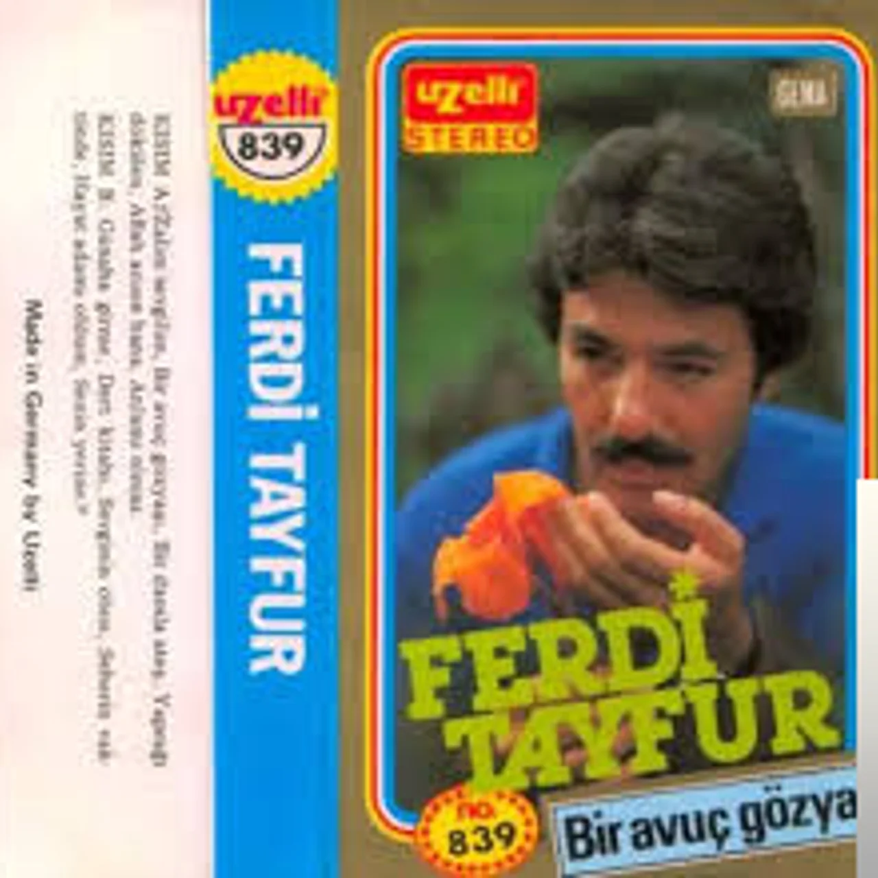Ferdi Tayfur - Yaprağı Dökülen