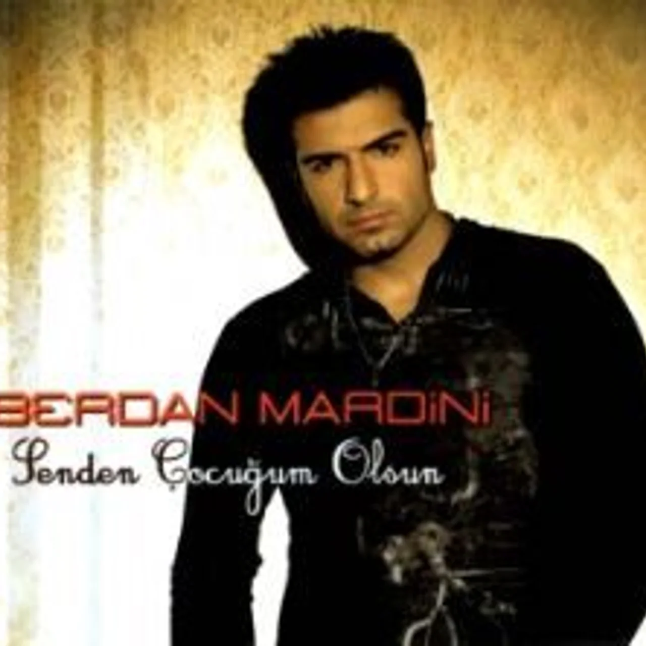 Berdan Mardini - İstanbul Akşamları
