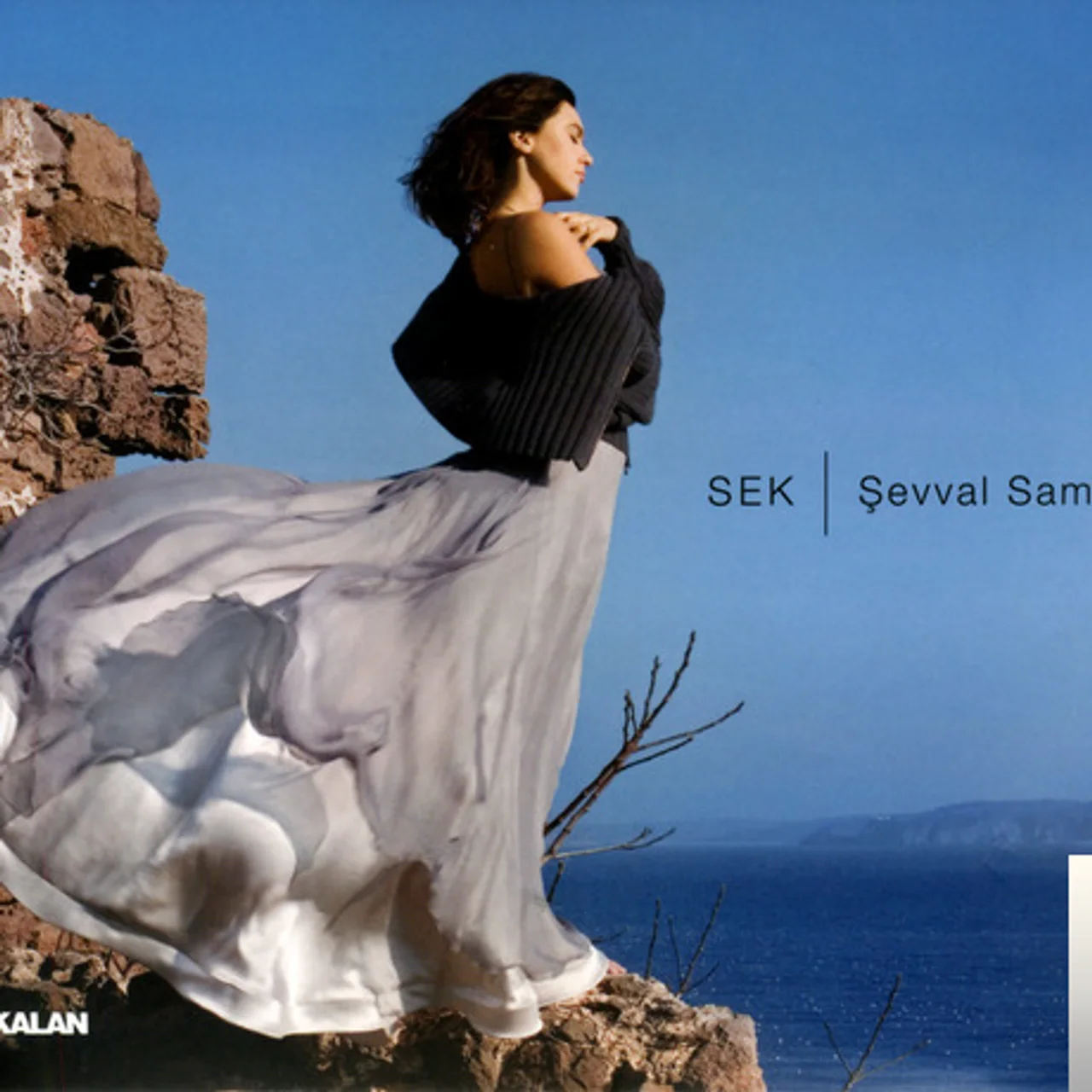 Şevval Sam - Bir Bakış Baktın