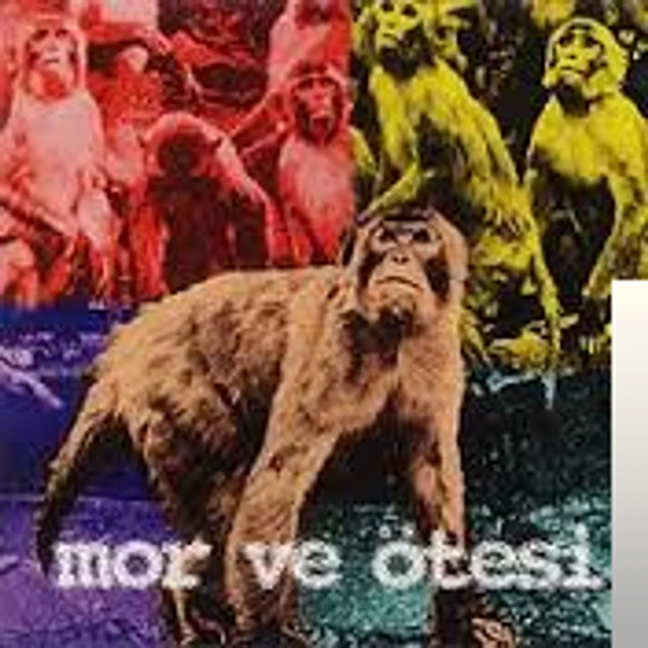 Mor Ve Ötesi - Sabahın Köründe