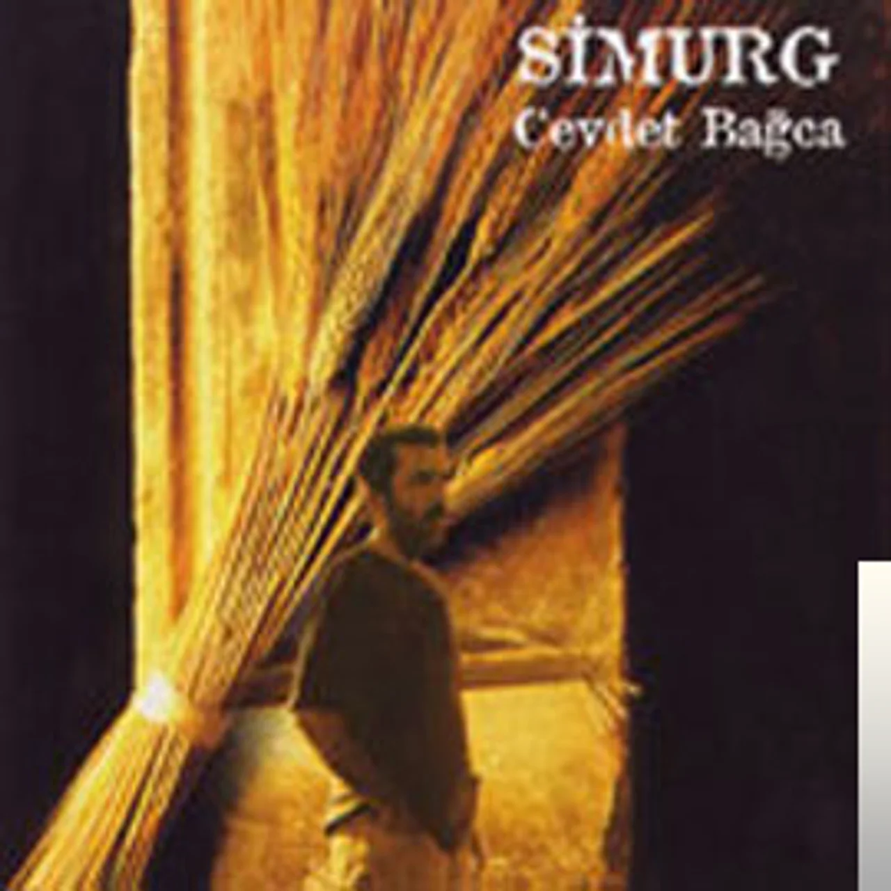 Cevdet Bağca - Meğerse