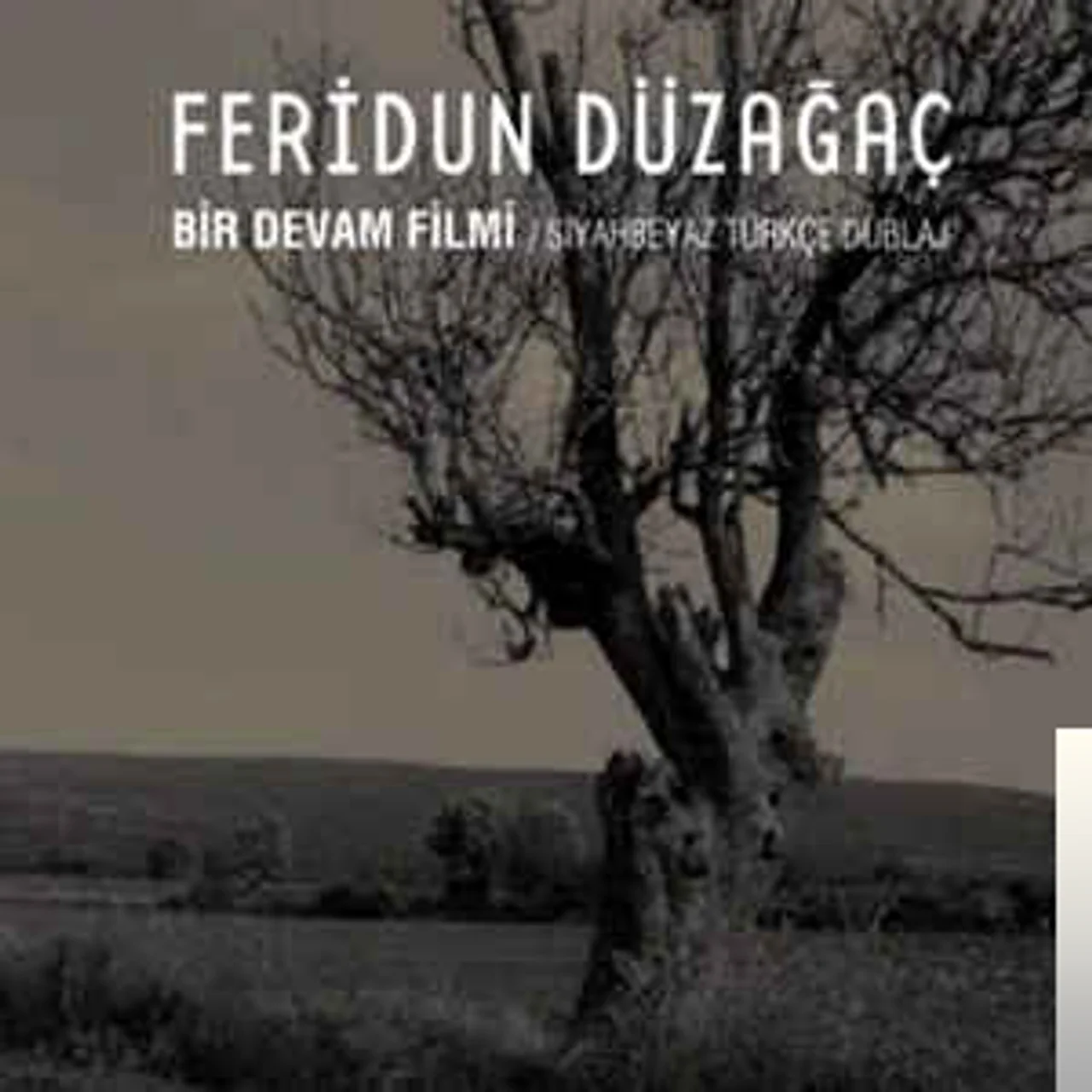 Feridun Düzağaç - Yıldızlar