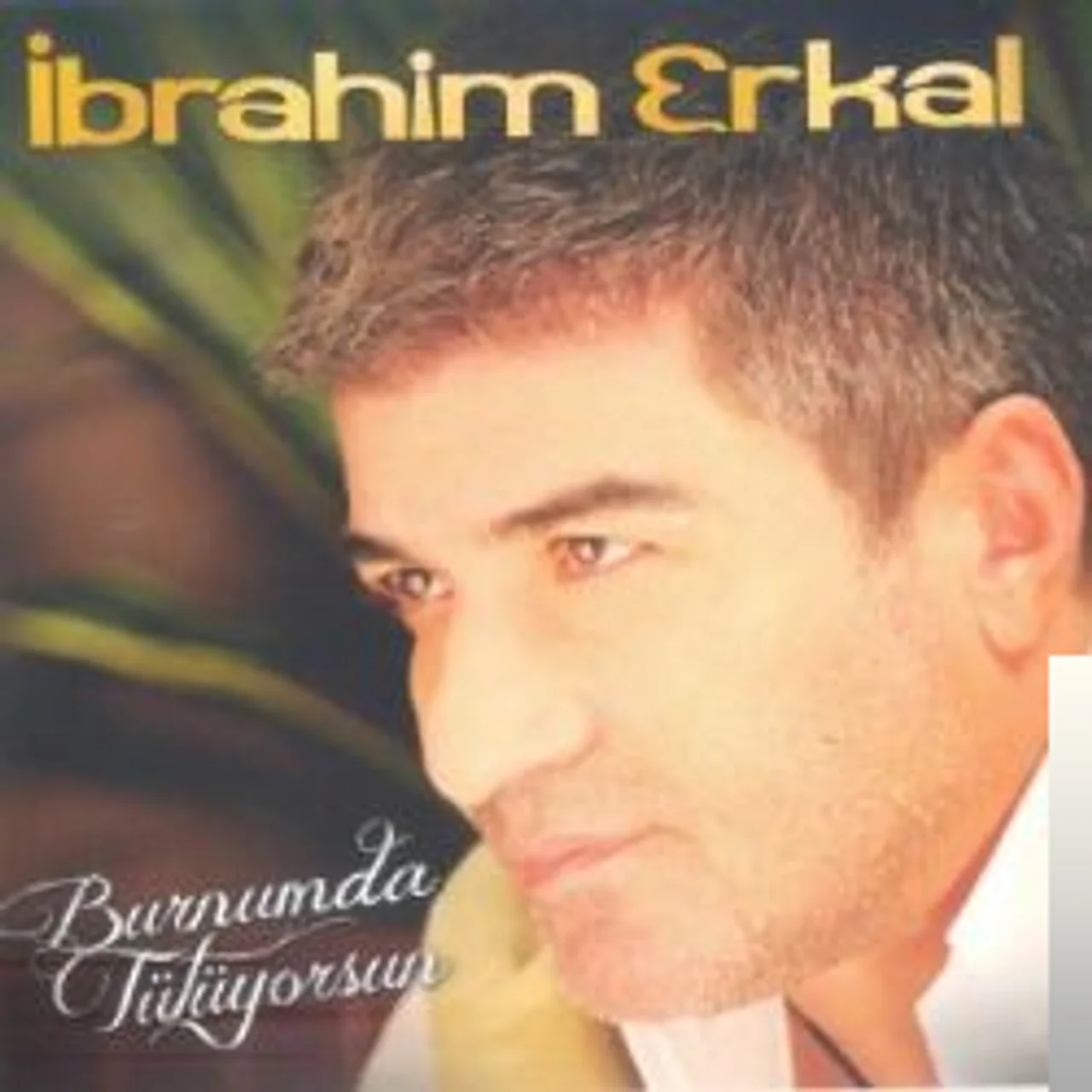 İbrahim Erkal - Nasılda Akıyor Zaman