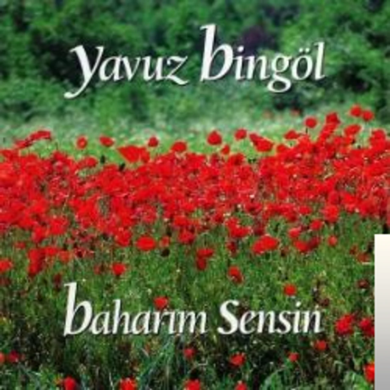 Yavuz Bingöl - Eğin Türküsü