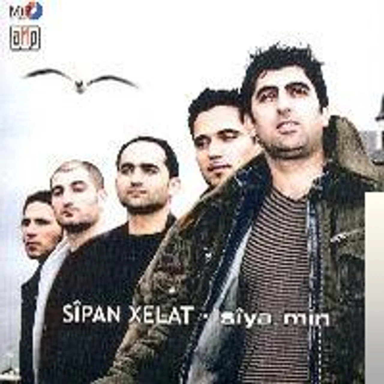 Sipan Xelat - Çima