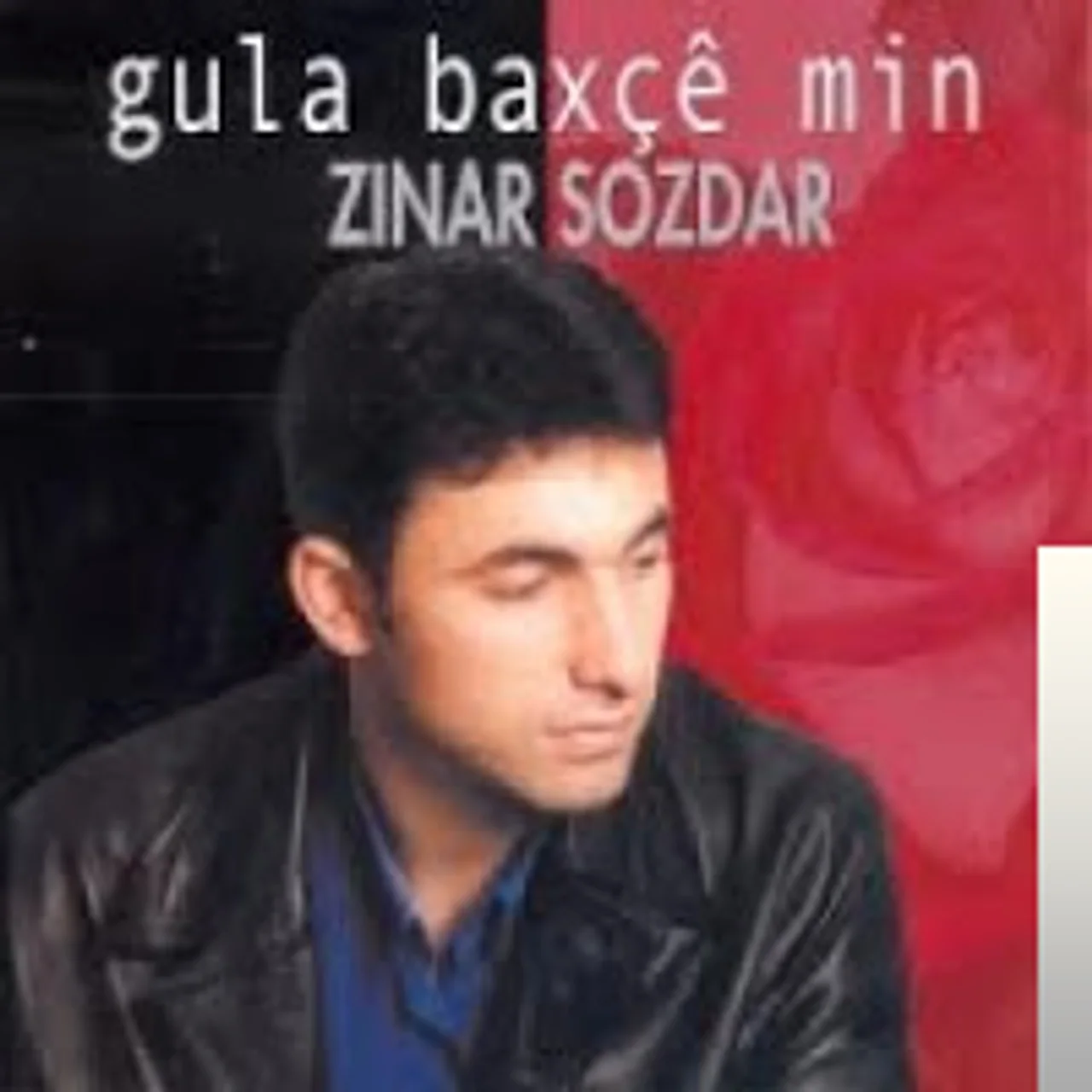 Zınar Sozdar - Dilo Şewitiyo