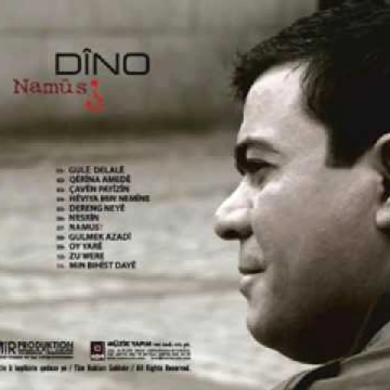 Hozan Dino - Gule Delale