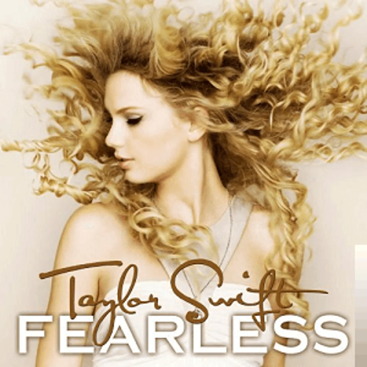 Taylor Swift - Hey Stephen lyrics
