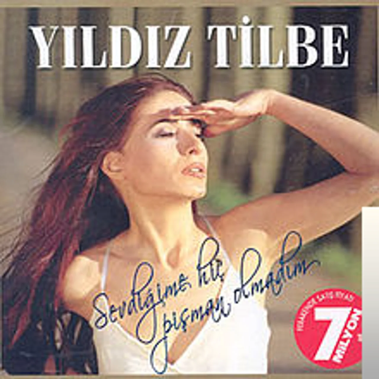 Yıldız Tilbe - Sevdiğime Hiç Pişman Olmadım