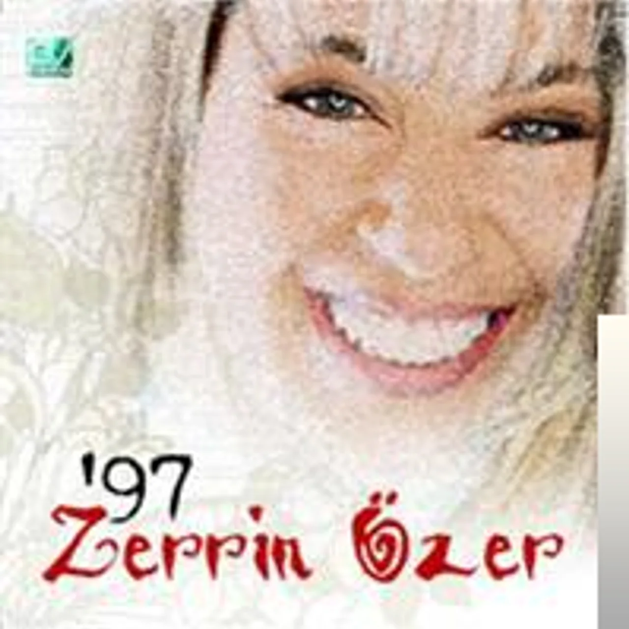 Zerrin Özer - İftira