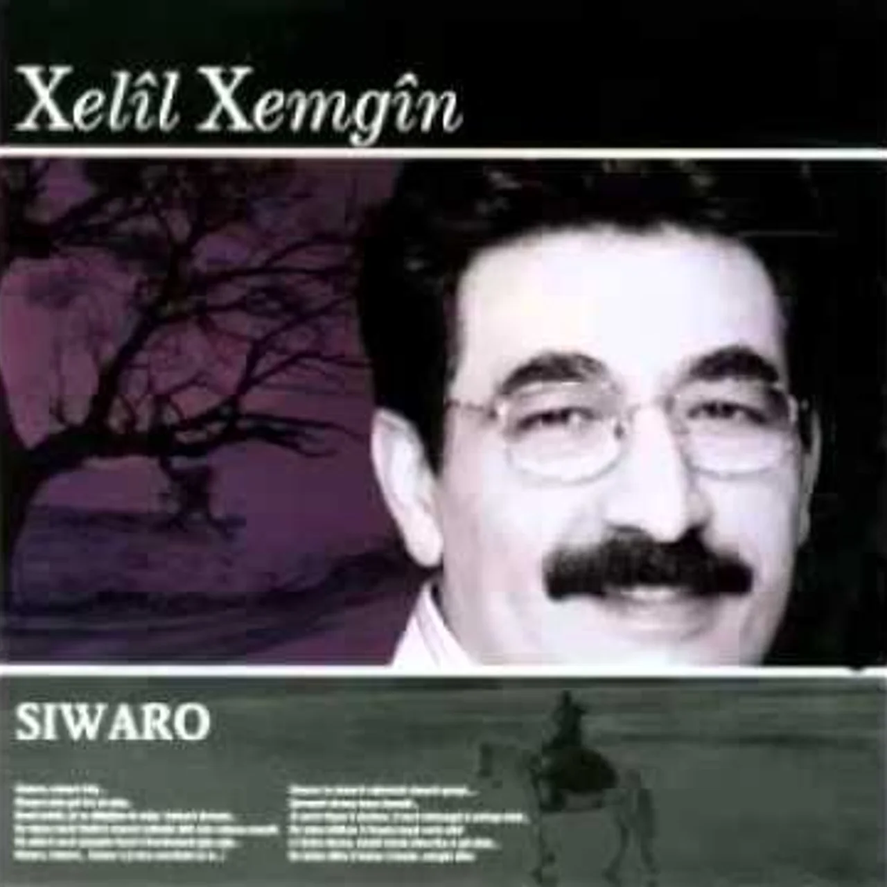 Xelil Xemgin - Amed