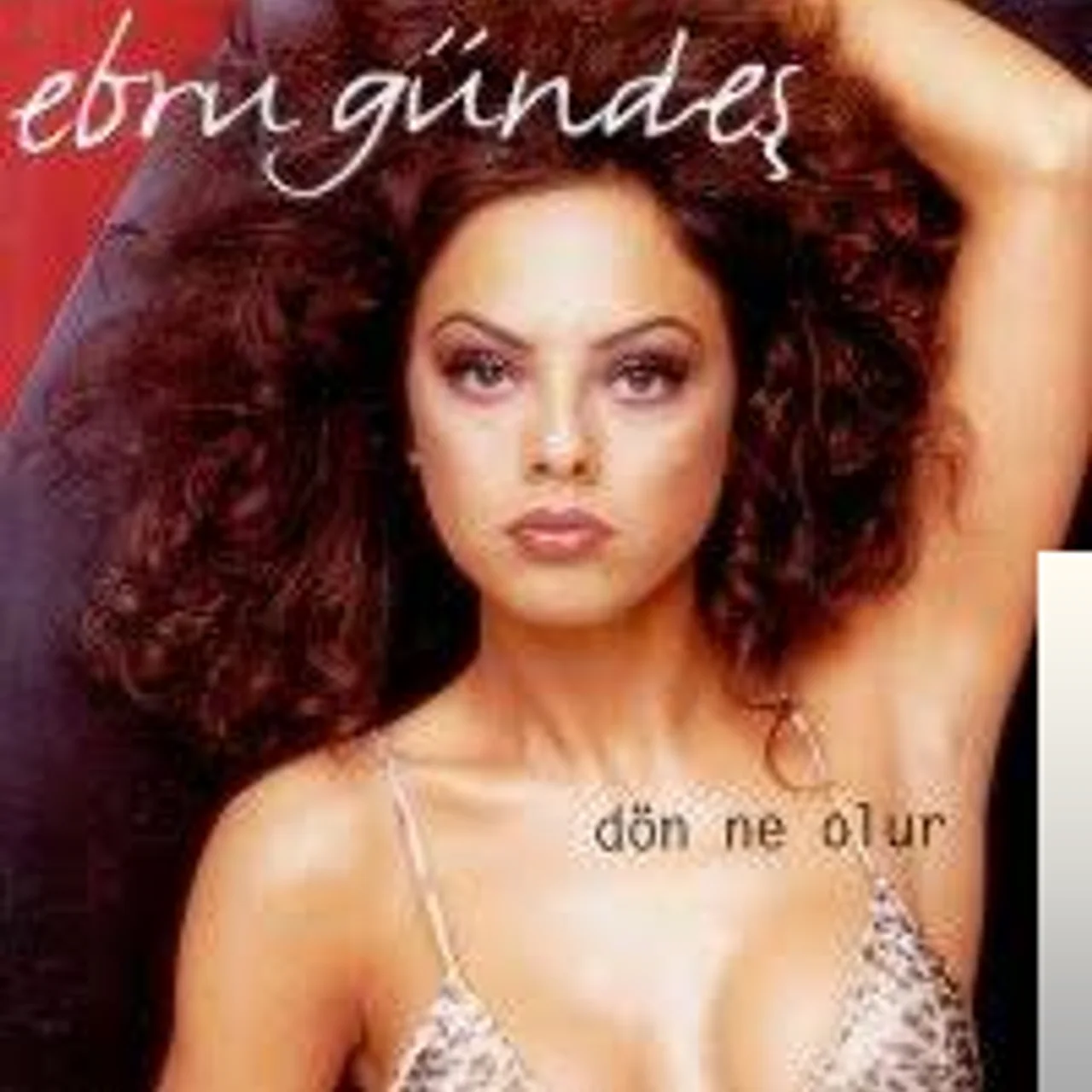 Ebru Gündeş - Annem İçin