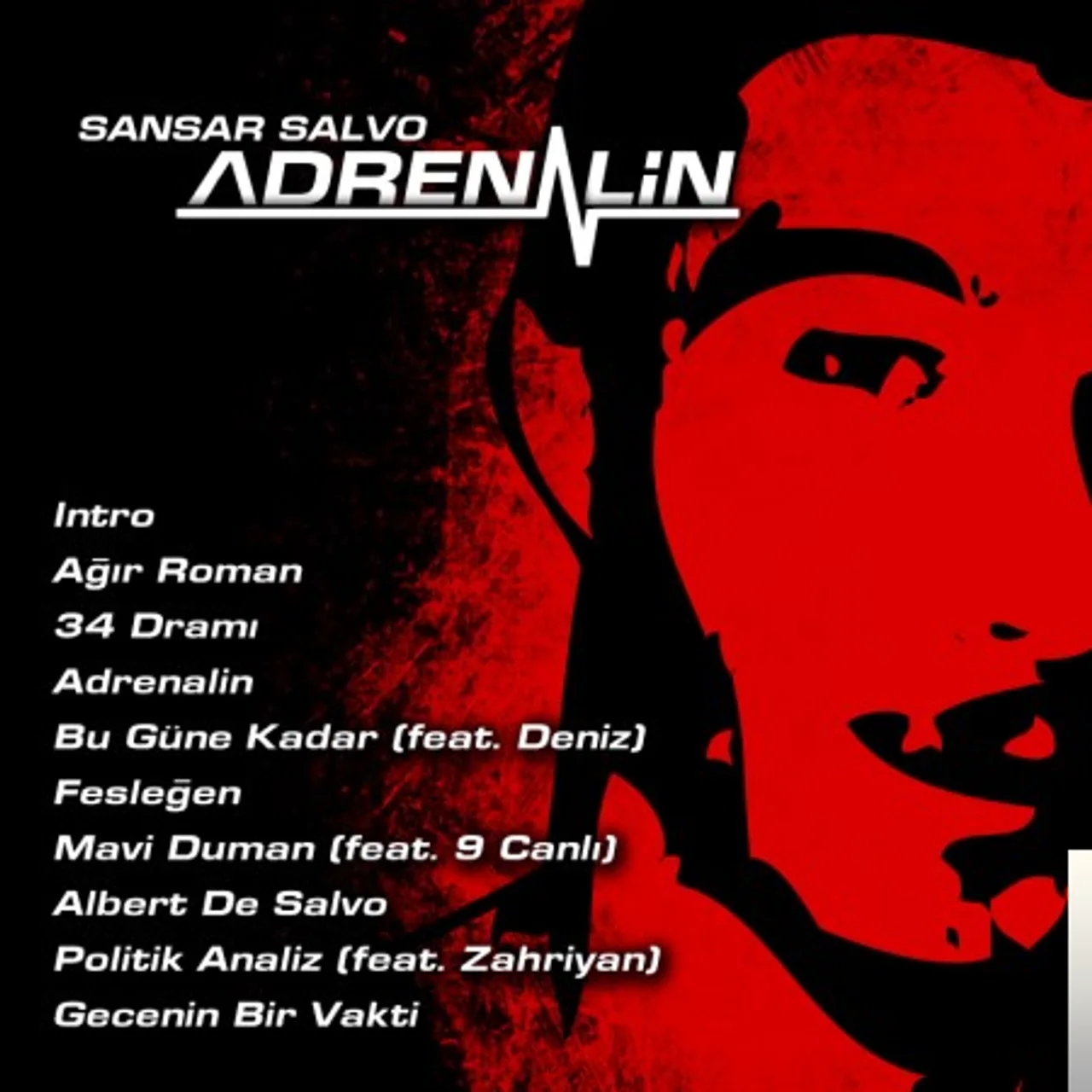 Sansar Salvo - Politik Analiz