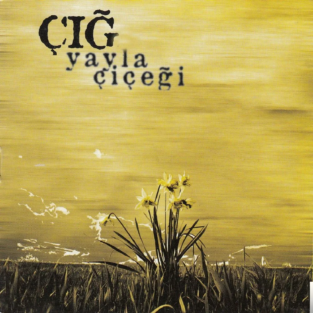 Grup Çığ - Gönül Gurbet Ele Varma