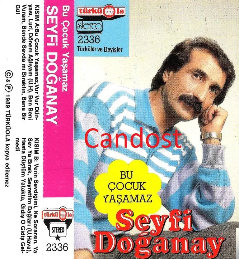 Seyfi Doğanay - Ayrılık Treni