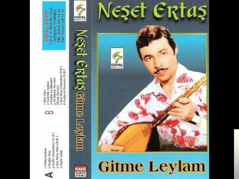 Neşet Ertaş - Dağlar Başı