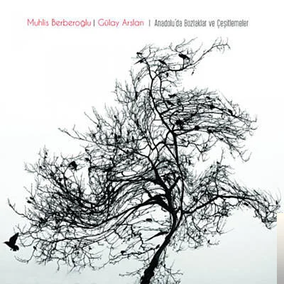 Gülay Arslan - feat Muhlis Berberoğlu-Yasemen