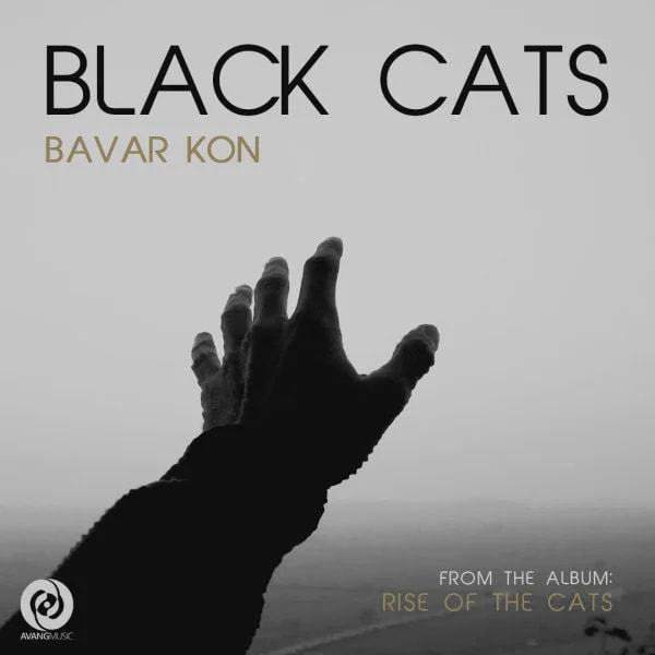 Black Cats - Bavar Kon