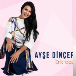 Ayşe Dinçer - Senden Koca Olmazmış