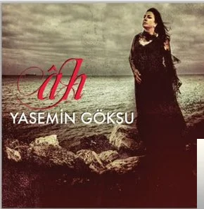 Yasemin Göksu - Devlet Dersinde Ölmek