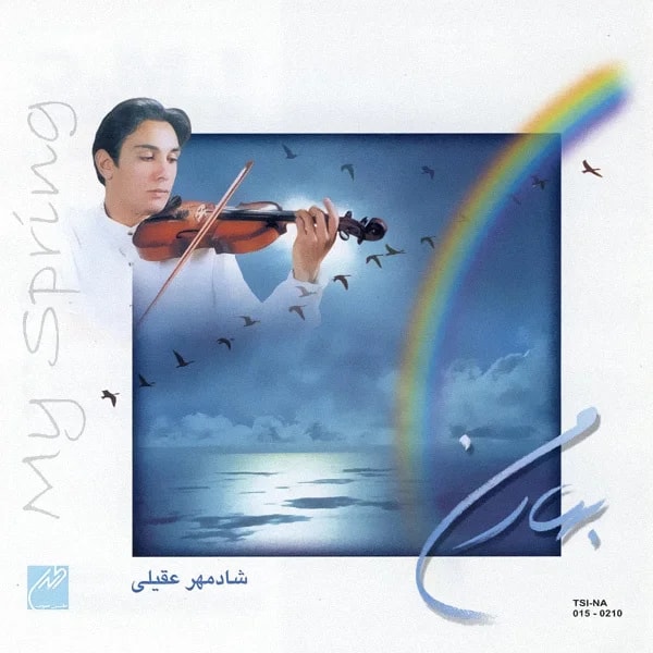 Shadmehr Aghili - Dar Dashti (Instrumental)