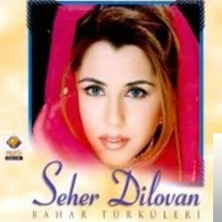Seher Dilovan - Çok Özledim