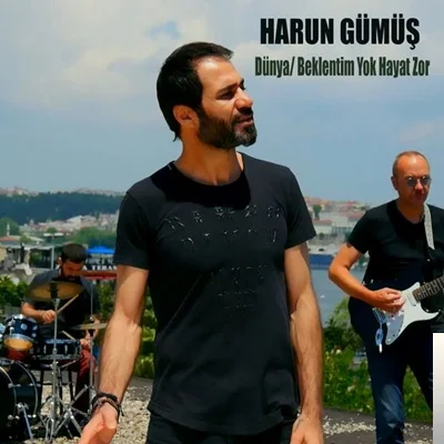 Harun Gümüş - Beklentim Yok Hayat Zor