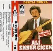 Ali Ekber Çiçek - Hu Diyelim