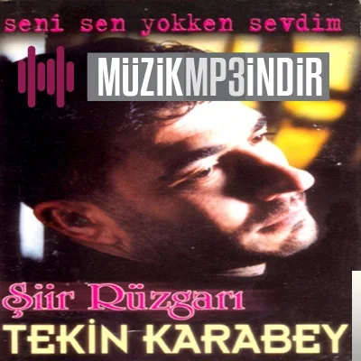 Tekin Karabey - Aşk