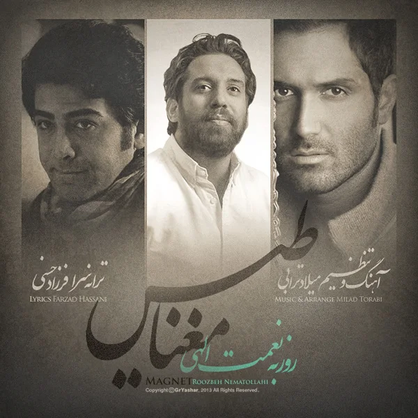 Roozbeh Nematollahi - Meghnatis