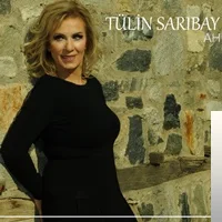 Tülin Sarıbay - Beklemek