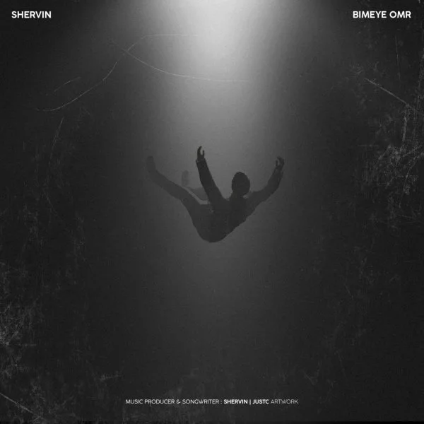 Shervin Hajipour - Bimeye Omr