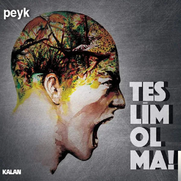 Peyk - Ne Oldu Bana